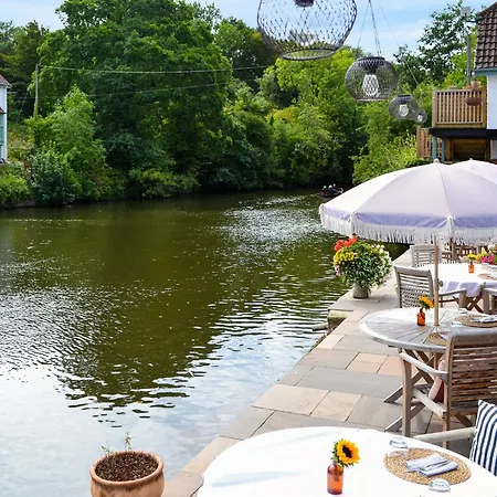 Honeysuckle - Uk50453 *